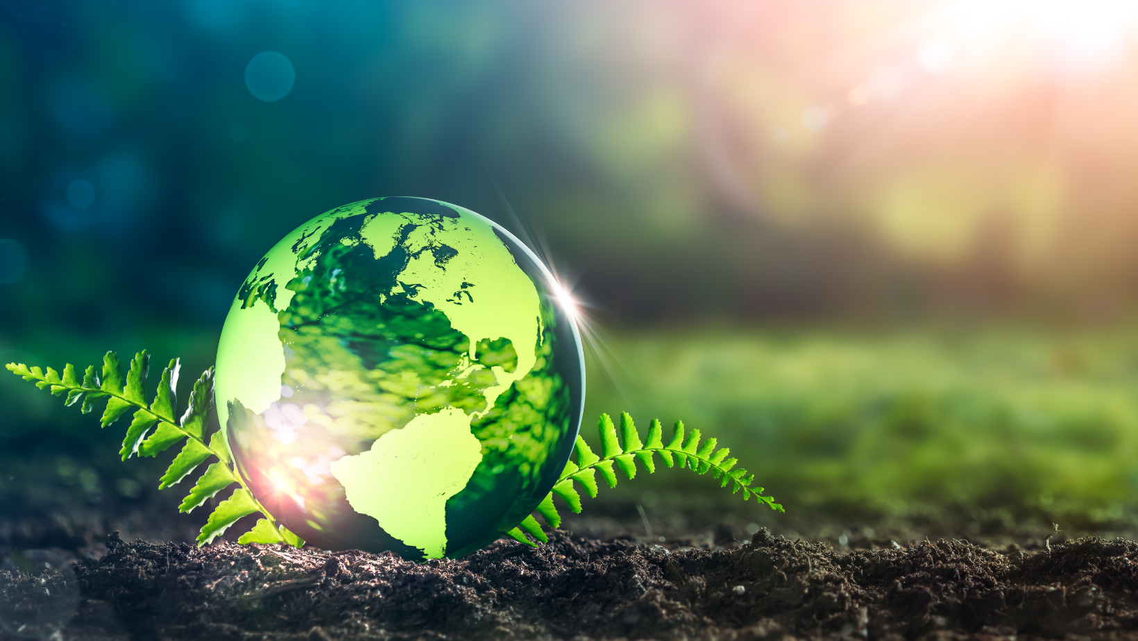 GREEN DEAL: ANALISI SFRUTTAMENTO E INQUINAMENTO DELLA TERRA