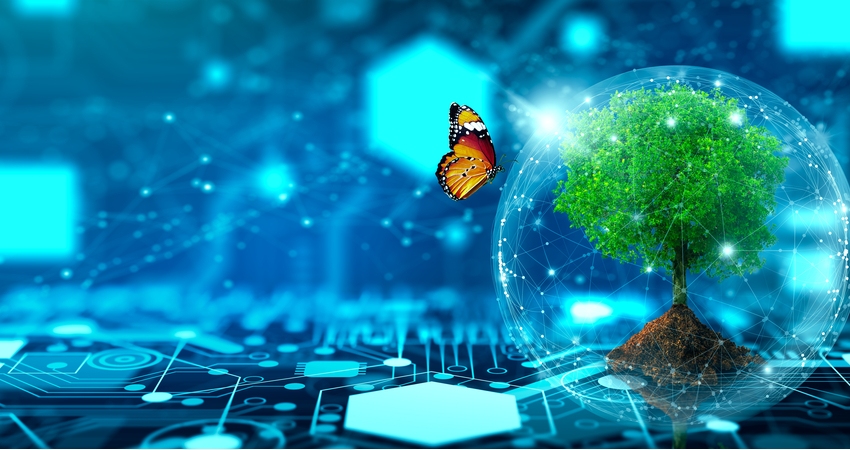 IL RUOLO DEL CLOUD NELLA TRANSIZIONE GREEN