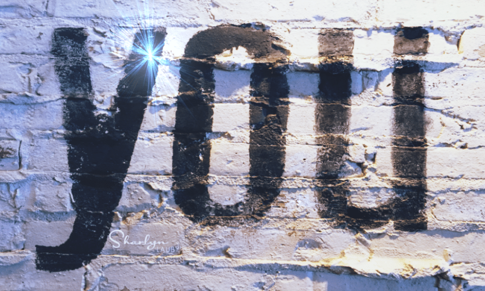 Self Audit You 1024x576 1