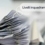 livelli inquadramento ccnl 300x169 1